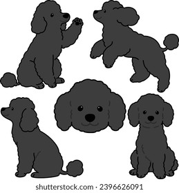 Sencillas y adorables ilustraciones de perro de Poodle de color negro