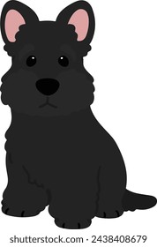 Simple and adorable black Scottish Terrier illustration sitting in front view flat colored