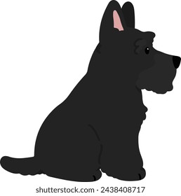 Simple and adorable black Scottish Terrier illustration sitting in side view flat colored