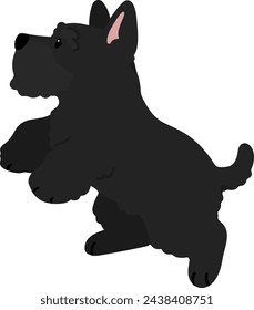 Simple and adorable black Scottish Terrier illustration jumping flat colored