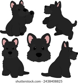 Simple and adorable black Scottish Terrier illustrations flat colored