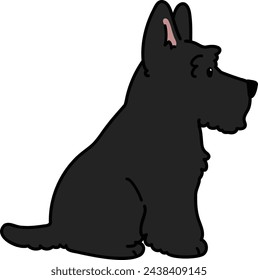Simple and adorable black Scottish Terrier illustration sitting in side view