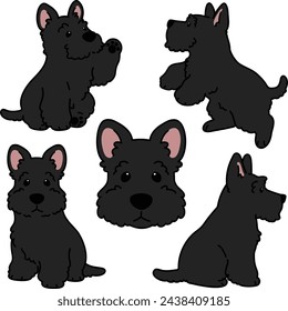 Simple and adorable black Scottish Terrier illustrations
