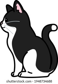 Simple and adorable black and white cat sitting in side view outlined