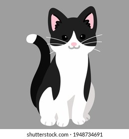 Simple and adorable black and white cat sitting in front view flat colored