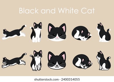 Simple and adorable Black and white Cat illustrations set