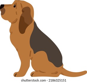 Simple and adorable Bloodhound dog illustration Sitting in side view flat colored