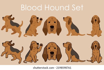 Simple and adorable Bloodhound dog illustrations set