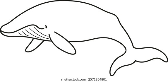 Simple and adorable Blue Whale line art illustration