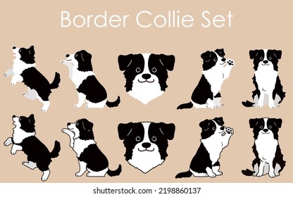 Simple and adorable Border Collie illustrations set