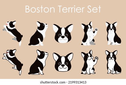 Sencillas y adorables ilustraciones de los perros del Boston Terrier