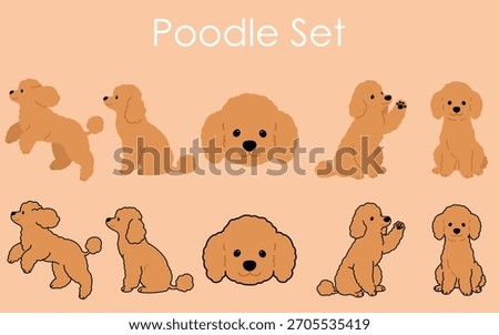 Simple and adorable brown colored Poodle set illustrations