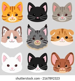 Simple and adorable cats front faces set flat colored