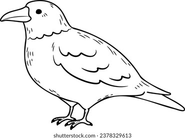 Simple and adorable Crow illustration with outlines only