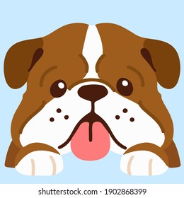 Simple and adorable dark brown British Bulldog front head with paws flat colored