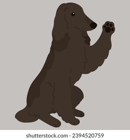 Sencilla y adorable ilustración afgana de color oscuro apretón de manos de color plano