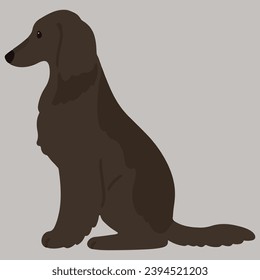 Simple and adorable dark colored Afghan Hound illustration sitting in side view flat colored