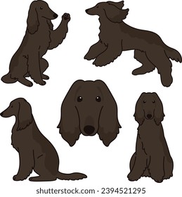 Simple and adorable dark colored Afghan Hound illustrations