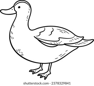 Simple and adorable Duck illustration with only outlines