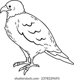 Simple and adorable Eagle illustration with outlines only