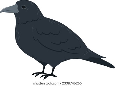Simple and adorable flat colored Crow illustration
