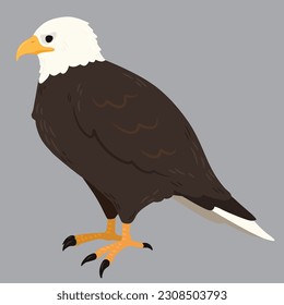Simple and adorable flat colored Eagle illustration