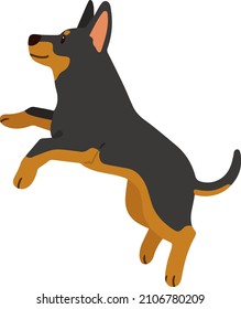Simple and adorable flat colored illustration of Doberman Pinscher jumping