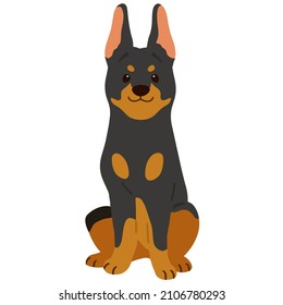 Simple and adorable flat colored illustration of Doberman Pinscher sitting in front view