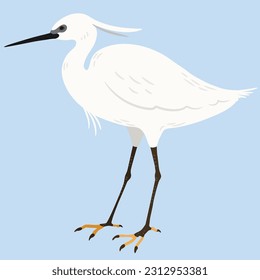 Simple and adorable flat colored Little Egret illustration