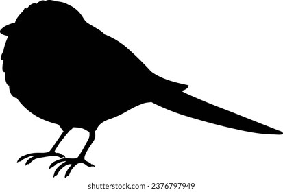 Simple and adorable flat colored Long-tailed tit illustration in silhouette