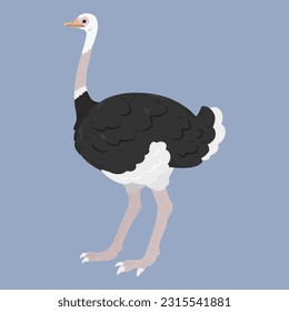 Ilustración de avestruz simple y adorable de color plano