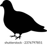 Simple and adorable flat colored Pigeon illustration in silhouette