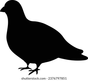 Simple and adorable flat colored Pigeon illustration in silhouette