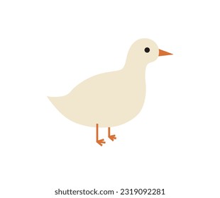 Simple and adorable flat colored White Duck illustration