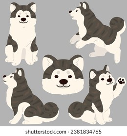 Simple and adorable flat dark colored Akita Dog illustrations