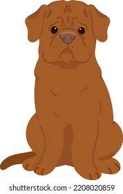 Simple and adorable French Mastiff illustration sitting in front view flat colored