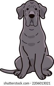 Simple and adorable Great Dane illustration sitting in front view