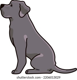 Simple and adorable Great Dane illustration sitting in side view