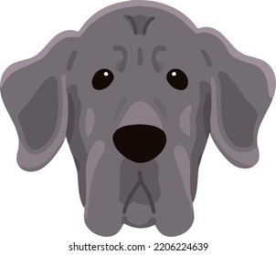 Simple and adorable Great Dane illustration front face flat colored