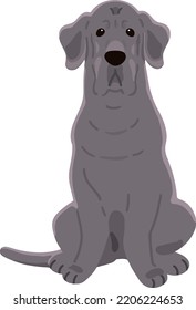 Simple and adorable Great Dane illustration sitting in front view flat colored