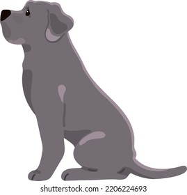 Simple and adorable Great Dane illustration sitting in side view flat colored