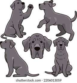 Simple and adorable Great Dane illustrations