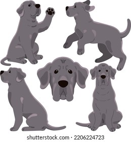 Simple and adorable Great Dane illustrations flat colored