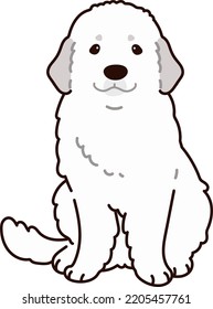 Simple and adorable Great Pyrenees Dog illustration sitting in front view