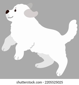 Simple and adorable Great Pyrenees Dog illustration jumping flat colored