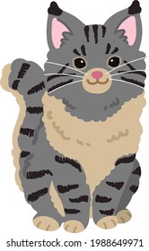 Simple and adorable Grey Maine Coon cat sitting in front view flat colored