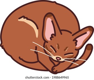 Simple and adorable illustration of Abyssinian cat sleeping outlined