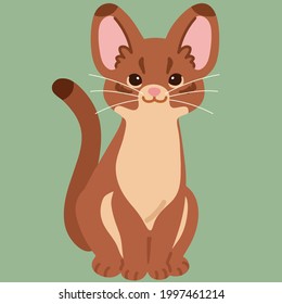 Simple and adorable illustration of Abyssinian cat sitting in front view flat colored