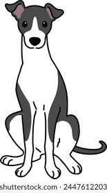 Simple and adorable illustration of Italian Greyhound sitting in front view