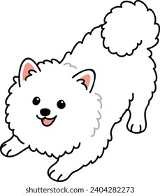 Simple and adorable illustration of Japanese Spitz Dog being playful svg